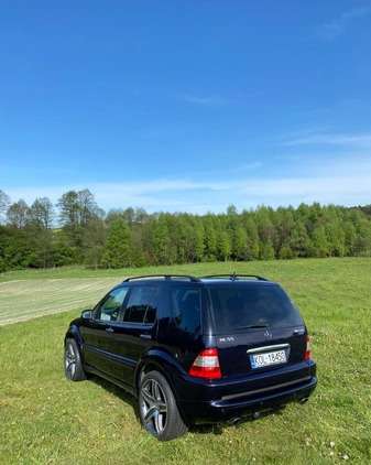 Mercedes-Benz ML cena 38500 przebieg: 242465, rok produkcji 2003 z Wolbrom małe 254